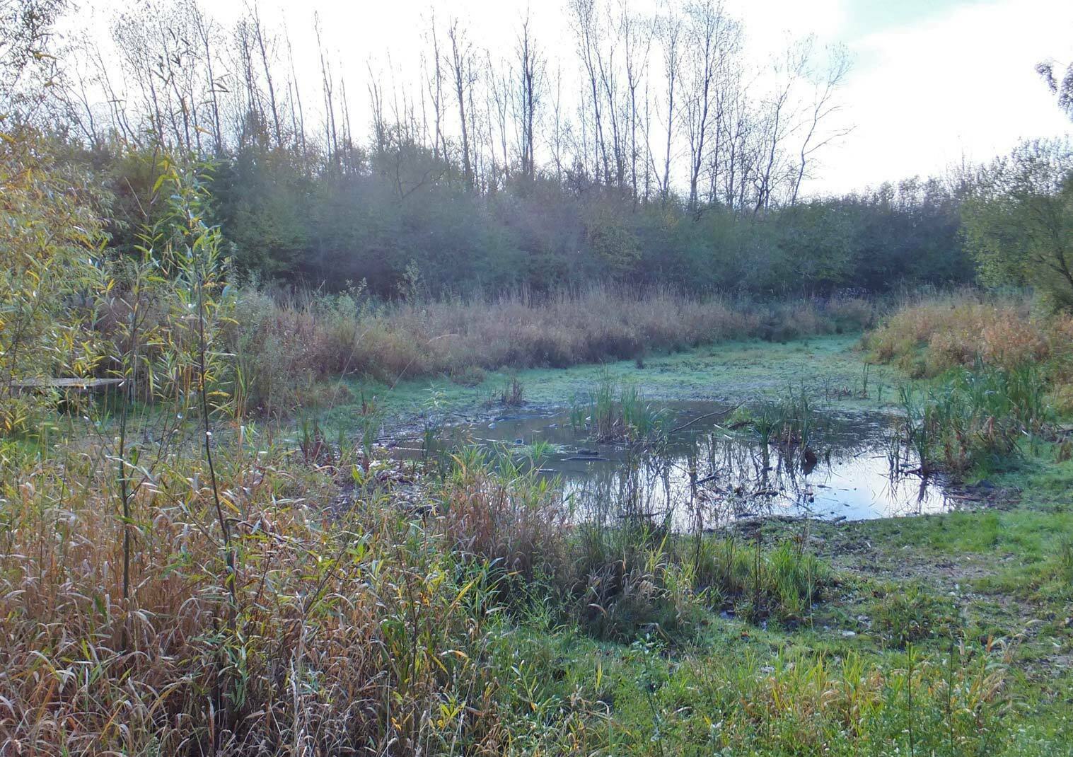 The BBL Nature Reserve