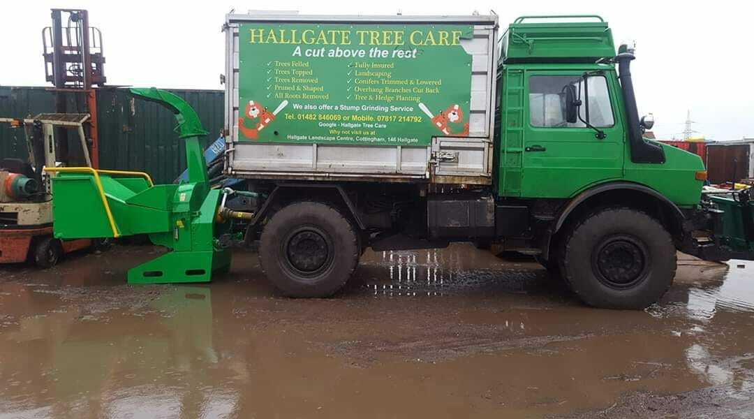 Hallgate Tree Care