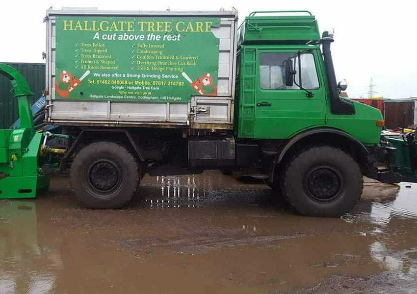 Hallgate Tree Care