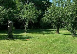 Bilton Kennels