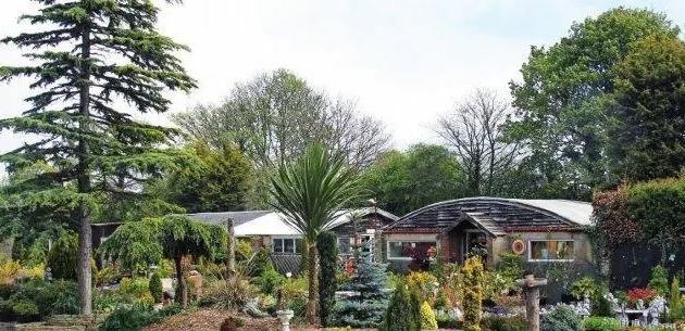 Evergreens Garden Centre