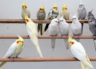 Smiths Nursery & Garden Centre