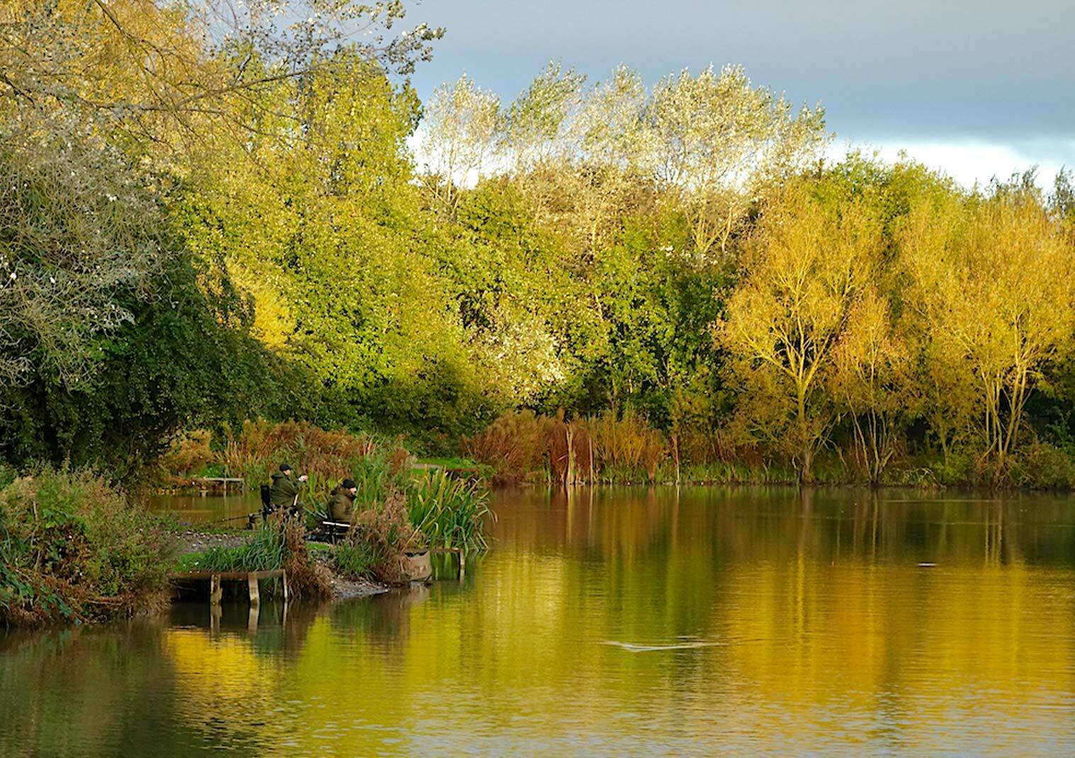 Noddle Hill Nature Reserve