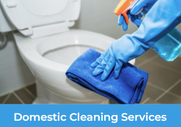 Dustbuster Cleaning Services