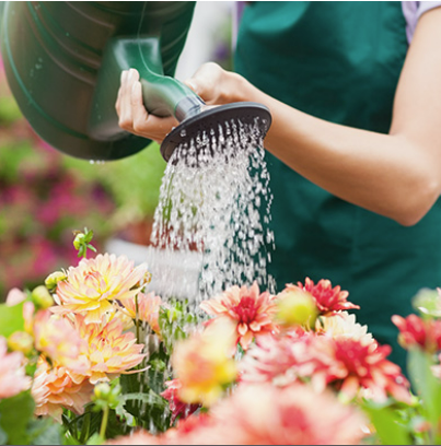 Cherry Lane Garden Centre