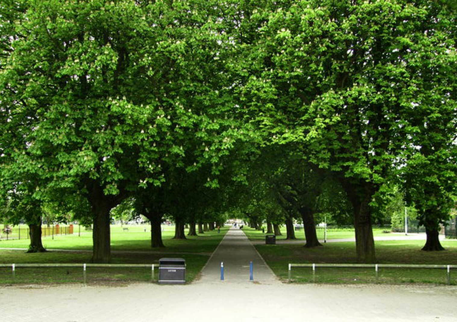 West Park